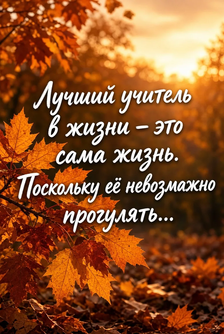 Спасибо за реакции ♥️