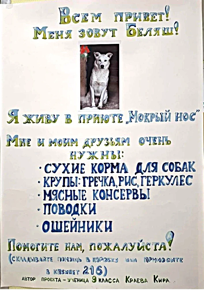 Добрый день! 31 марта заканчивается Акция "Добра и помощи животным" в рамках итогового ...