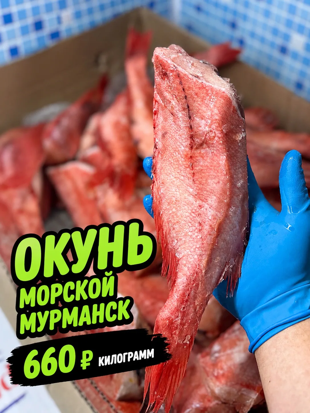 🐟 СЕГОДНЯ В ПОСТАВКЕ