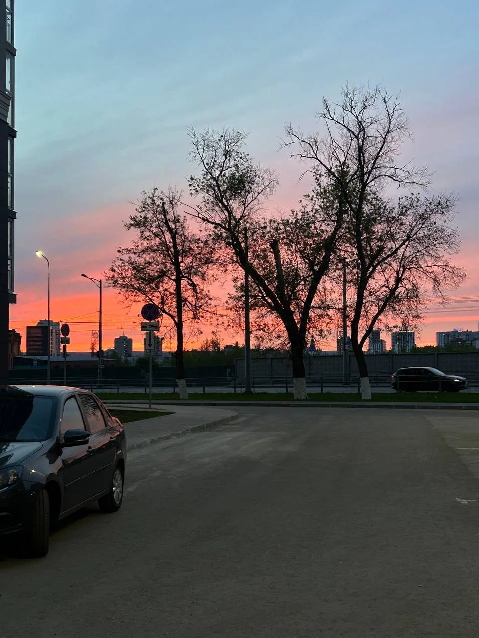 В Самаре массово убирают деревья. Мэр Иван Носков объяснил, что в городе насчитывается около 20 тыся