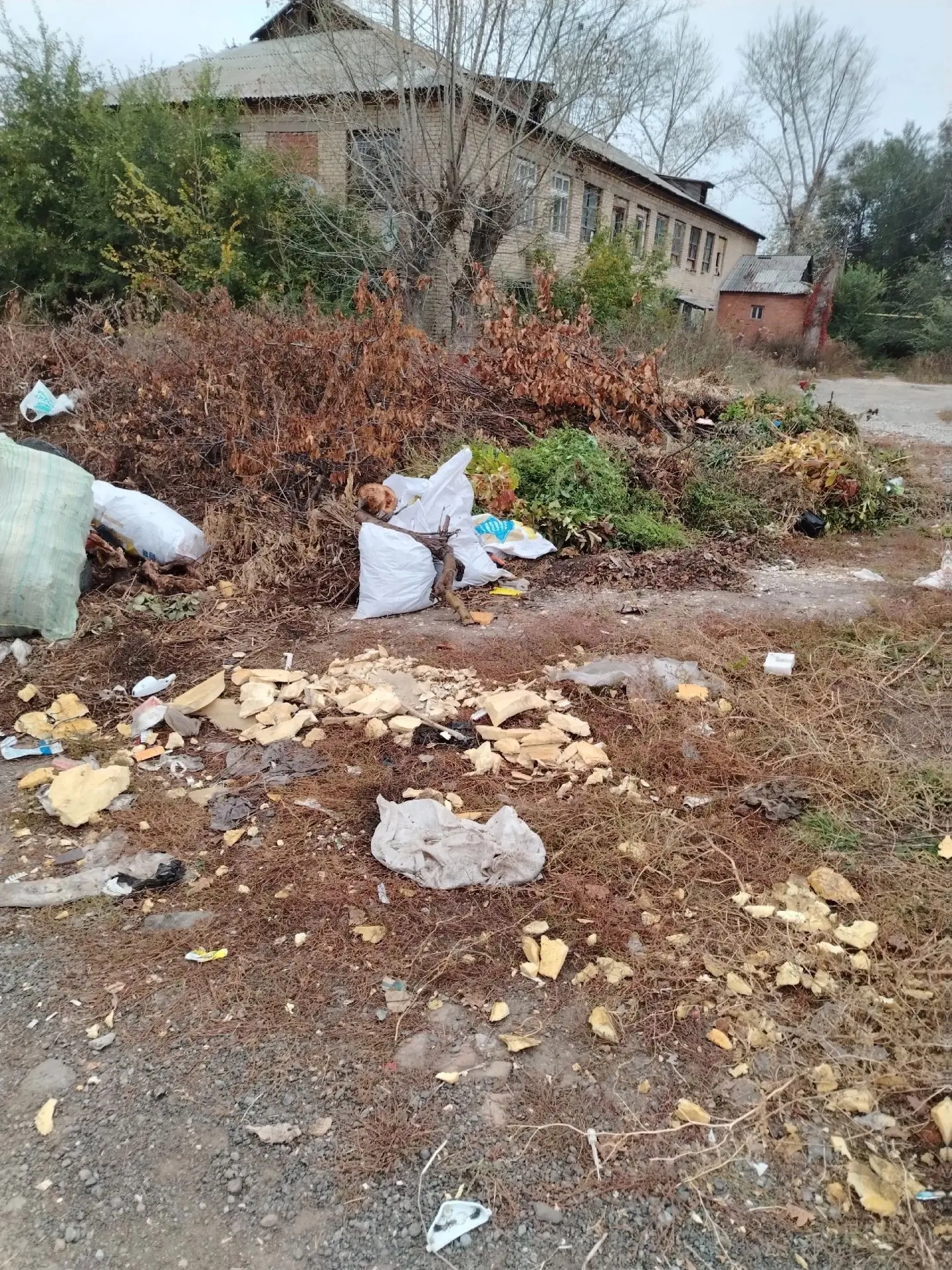 🗑️ Мусорная площадка в нижней части города превратилась в свалку: жители бьют тревогу