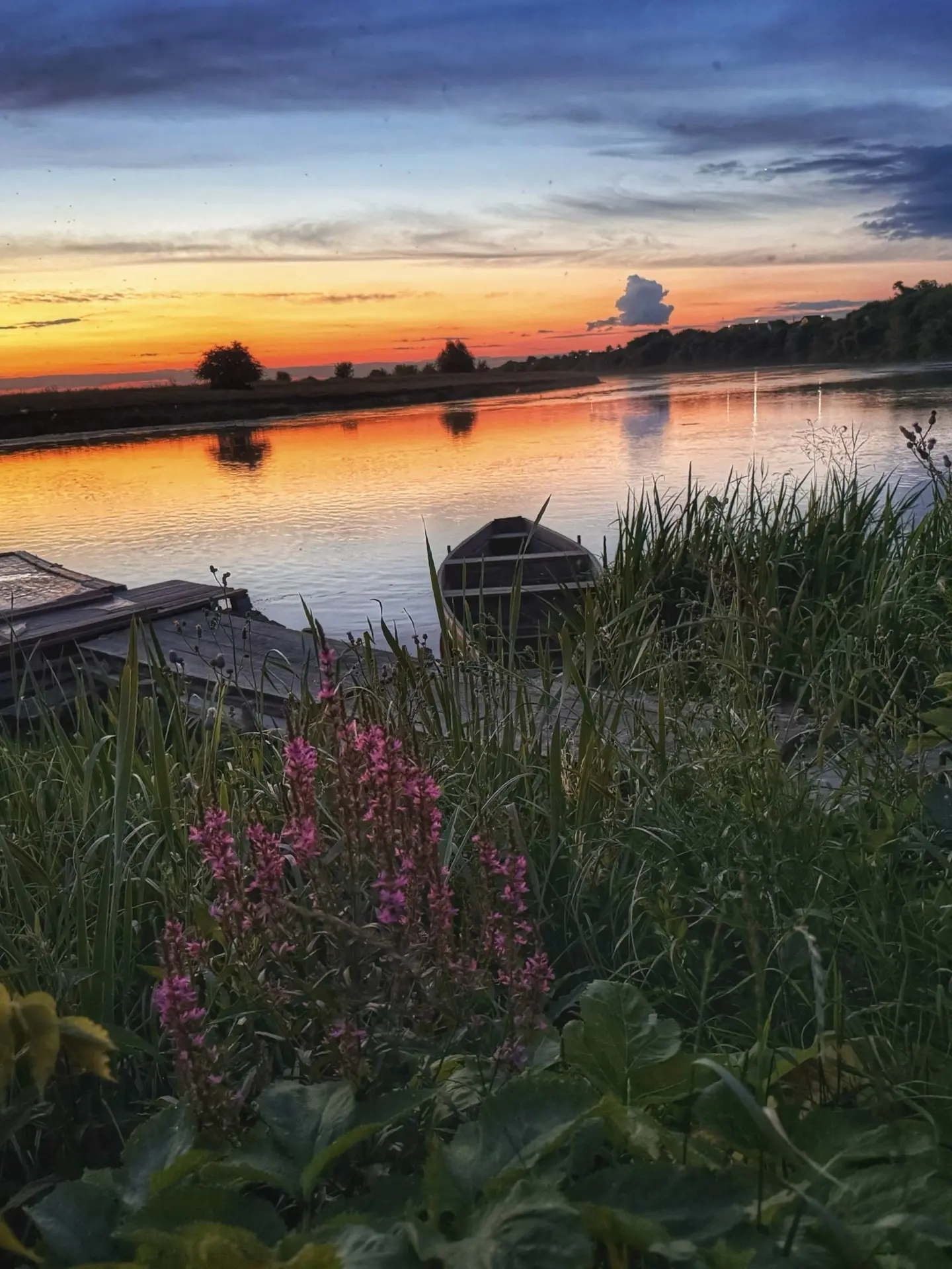 📍Октябрьский район, Курская область.