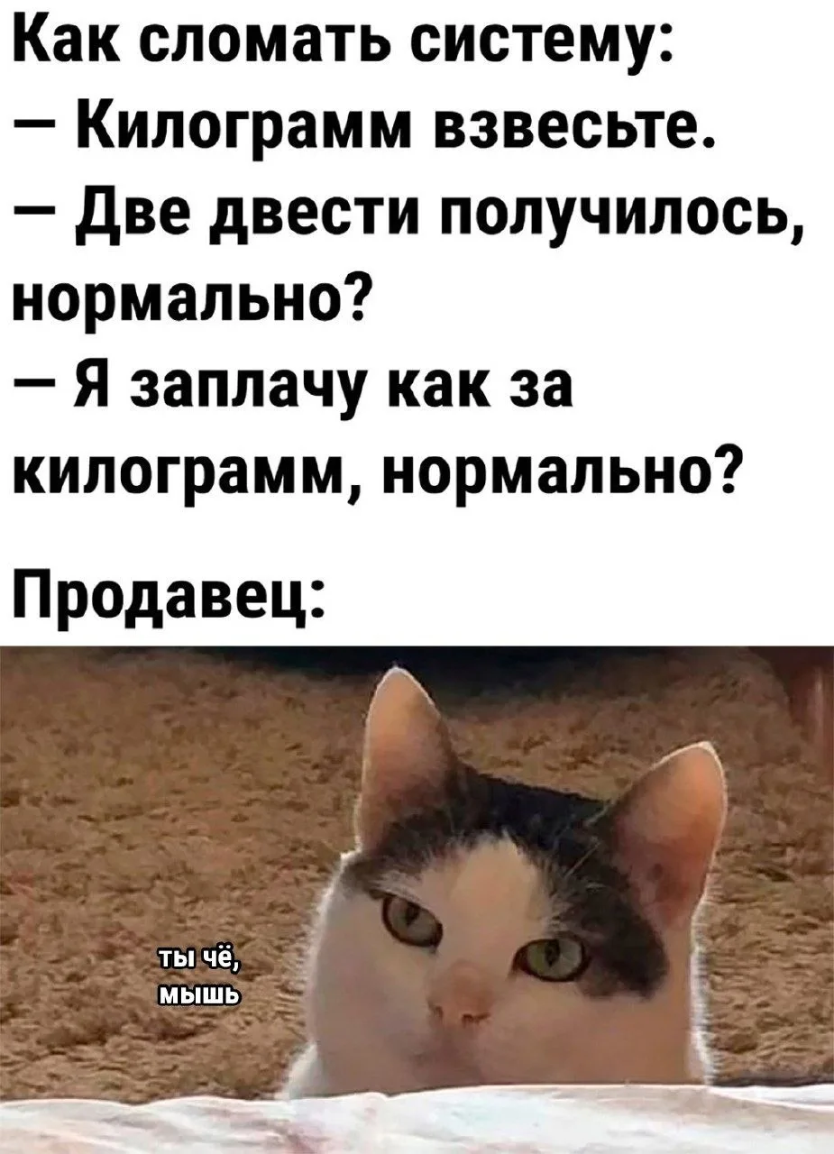 Приколы 😂
