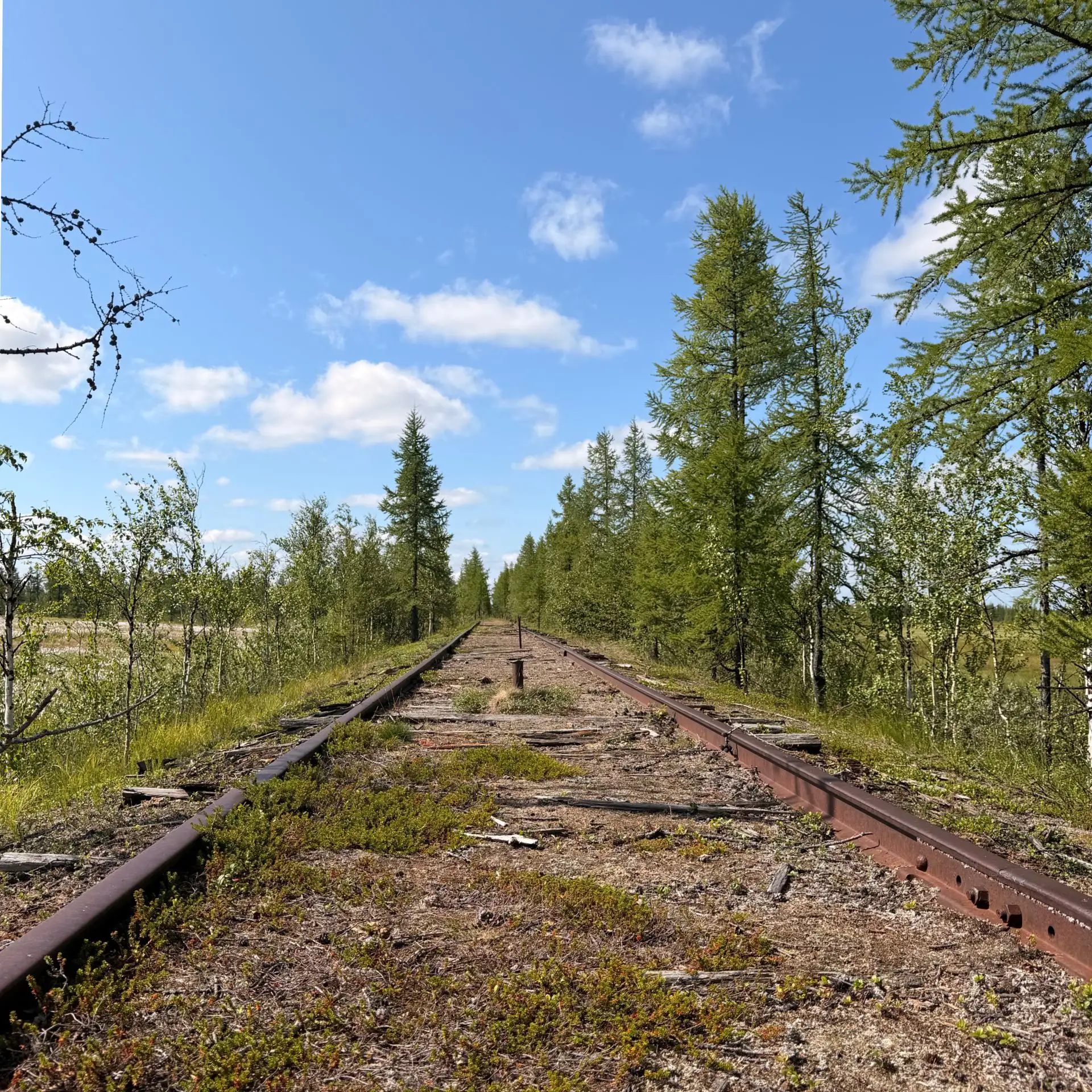 Доброе утро🥰

В летних днях есть особая магия: яркое солнце, бескрайнее голубое небо и прогулки, ко