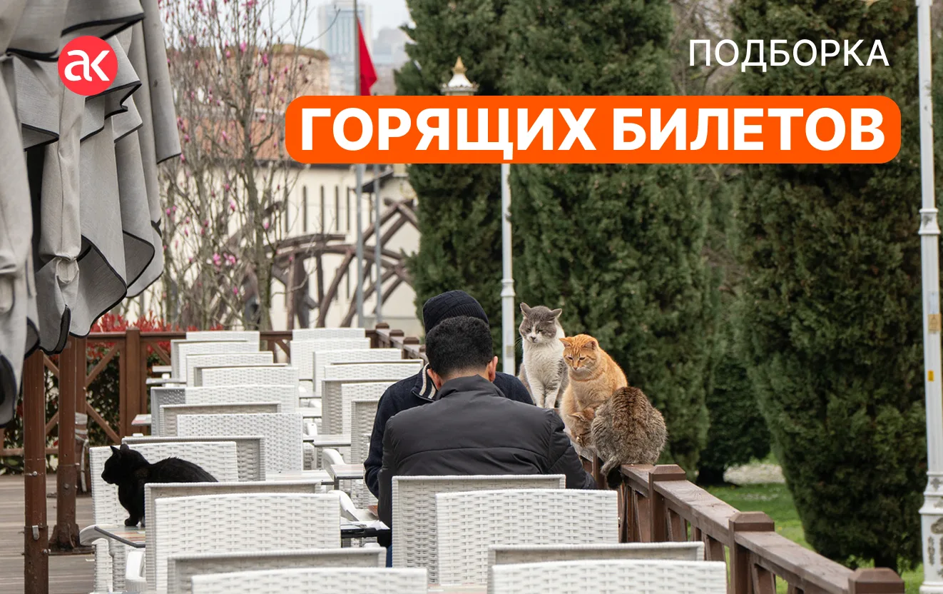 Пока на работе очередь за кофе — скоротайте время за планированием побега на отдых и уг...