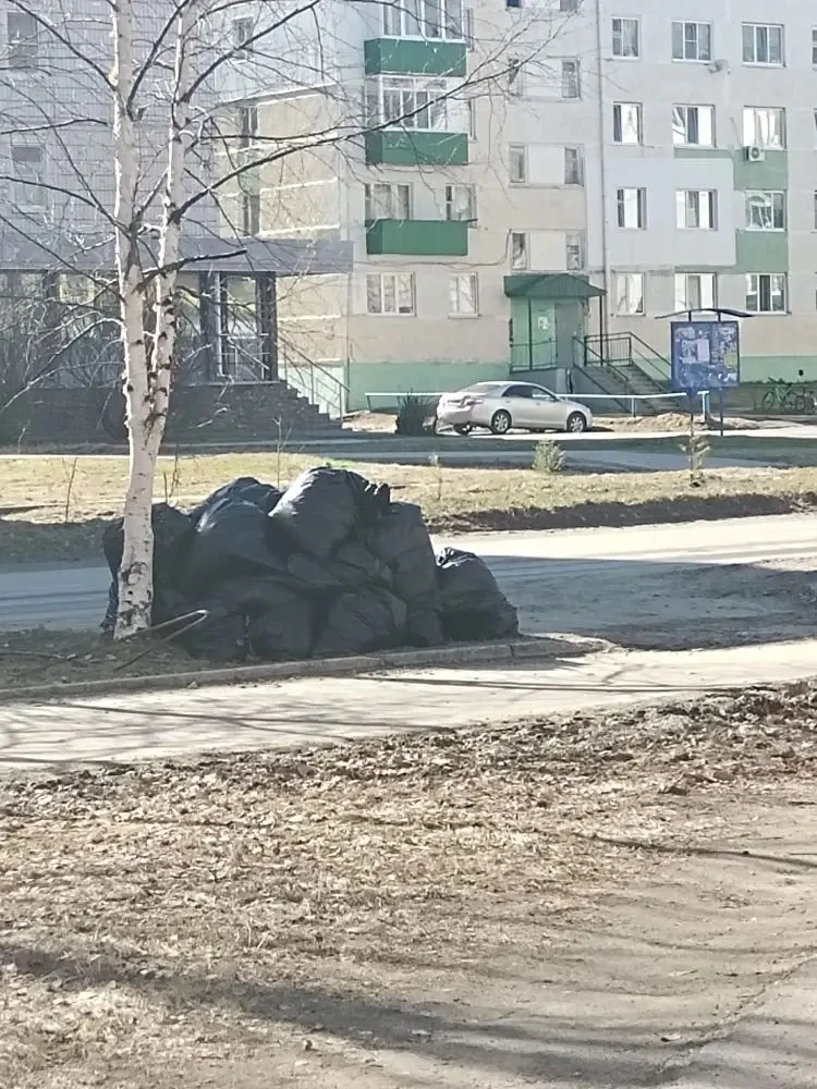 #Про_субботник  Технический персонал 5 школы сегодня вышел на субботник 🫶🏻 Полностью убрали территор
