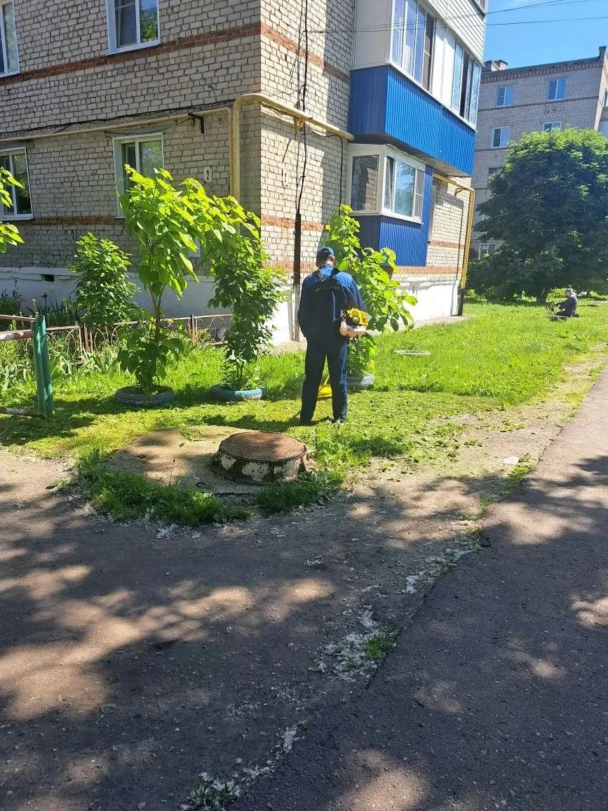 Покос растительности - обязательная работа в весенне-летний период.
Покосили траву на придомовых тер