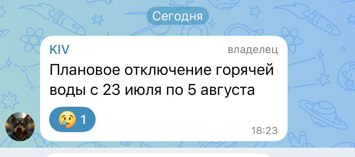 В домовом чате пришло самое грустное сообщение из всех, какие там бывают 😢

А я с утра думаю, чего 