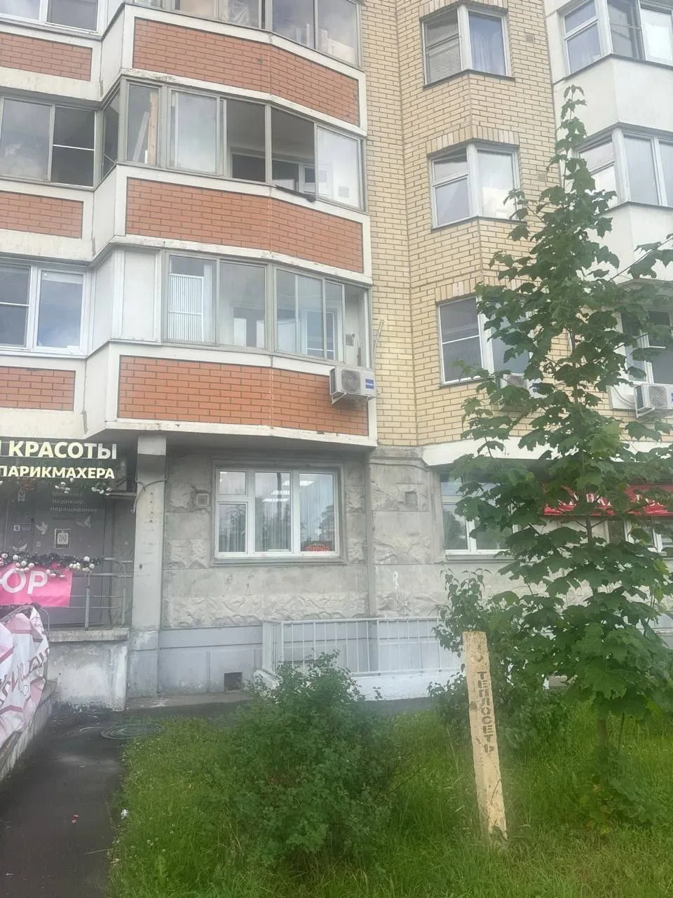 Изумрудный д.5. Огромная просьба соседям и всем причастным! Перестаньте кормить голобуе...