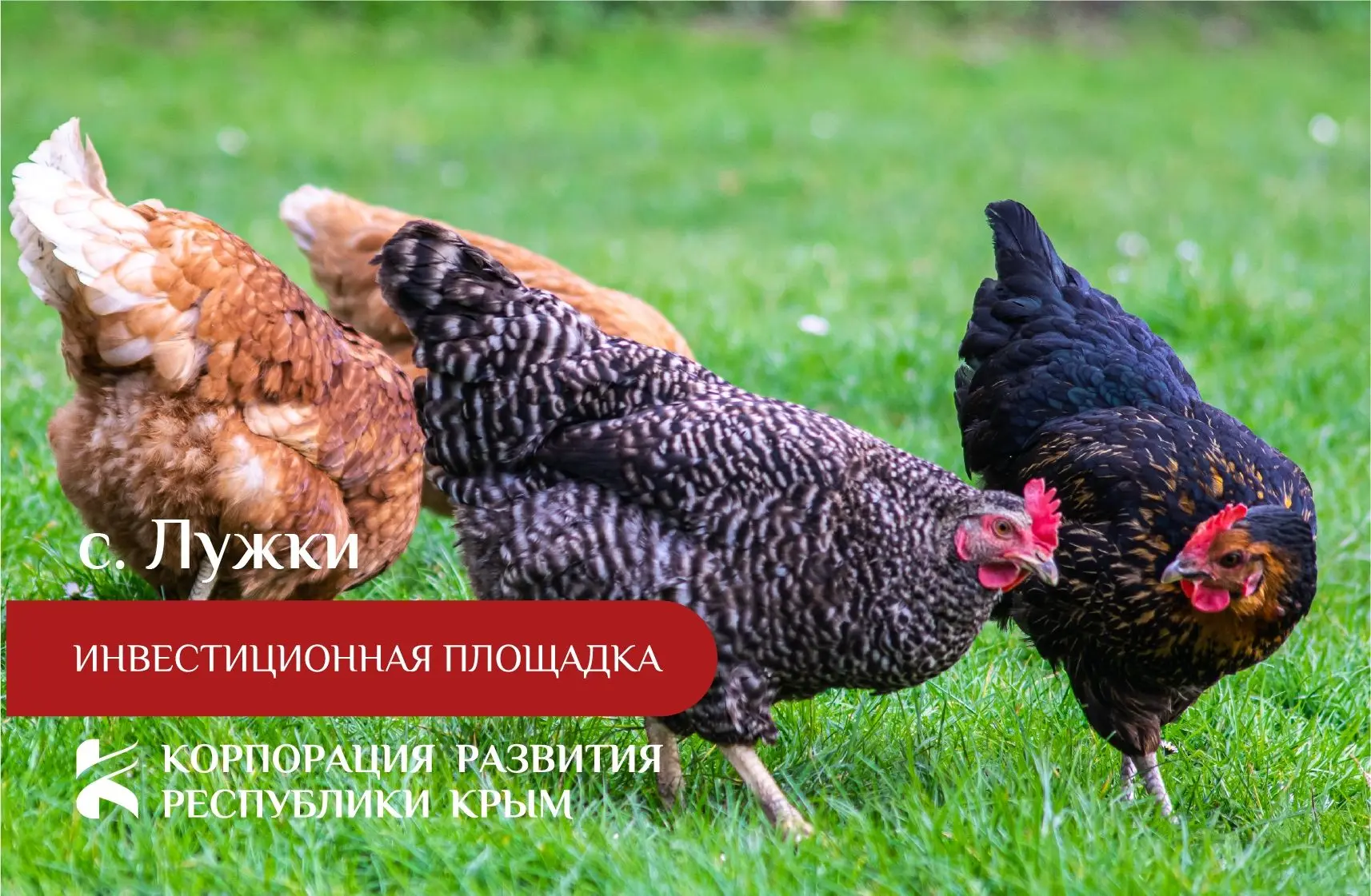 Вниманию инвесторов!