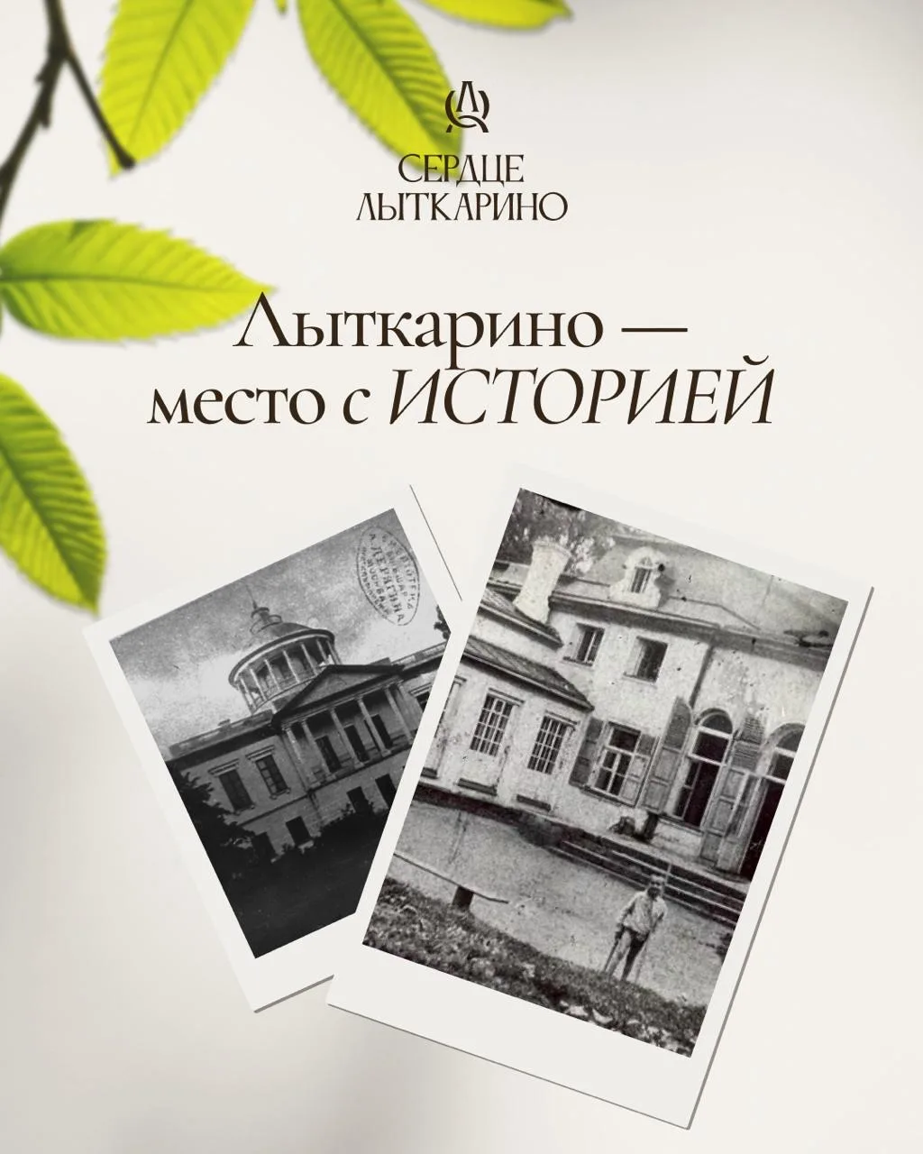🏫 От графских усадеб до научного центра