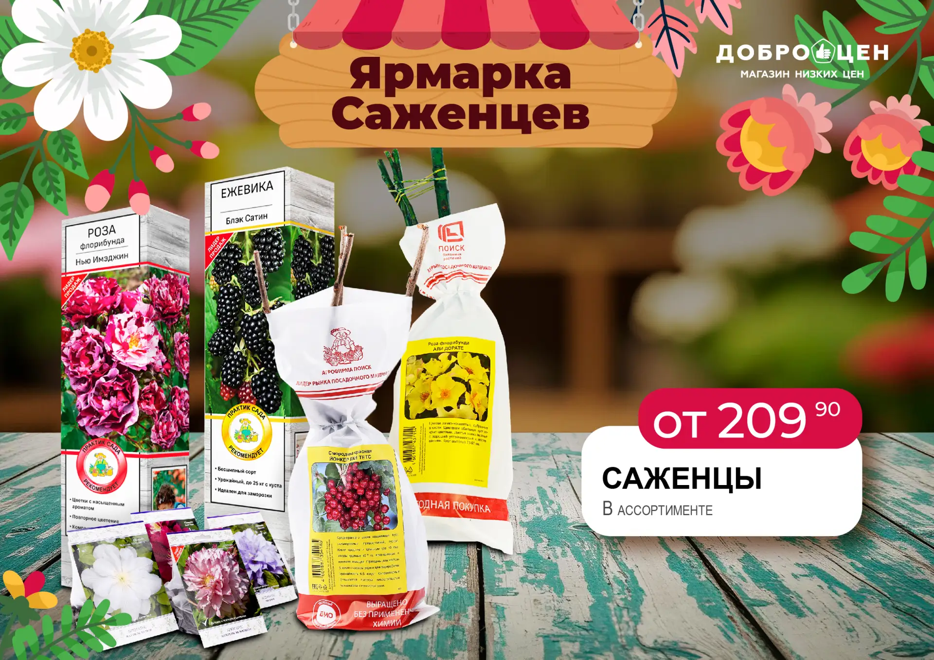 Весне – дорогу, дачному сезону – старт 🌿  Самое время подумать о рассаде, будущих грядках и хорошем 