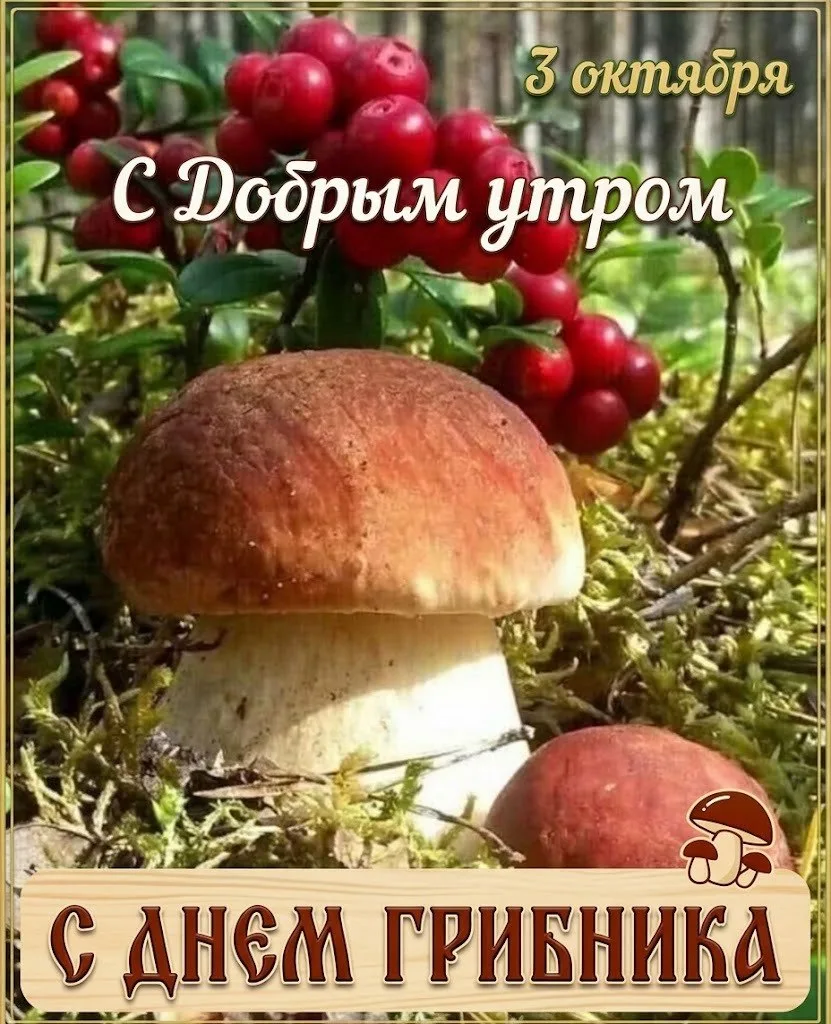 ☕️ #доброе_утро