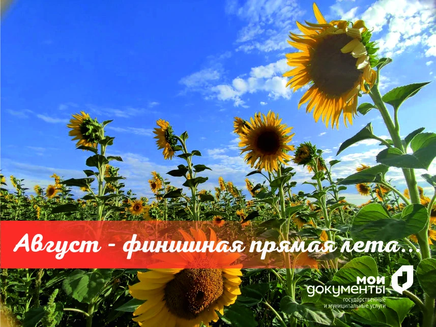 ☕️ Доброе утро, друзья!