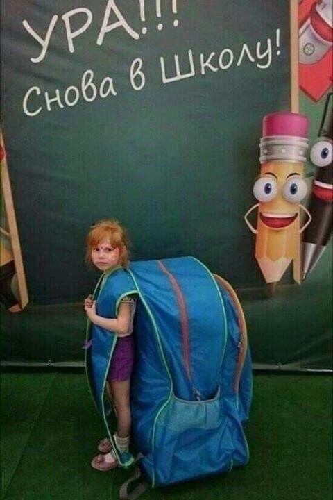 К школе все готовы?