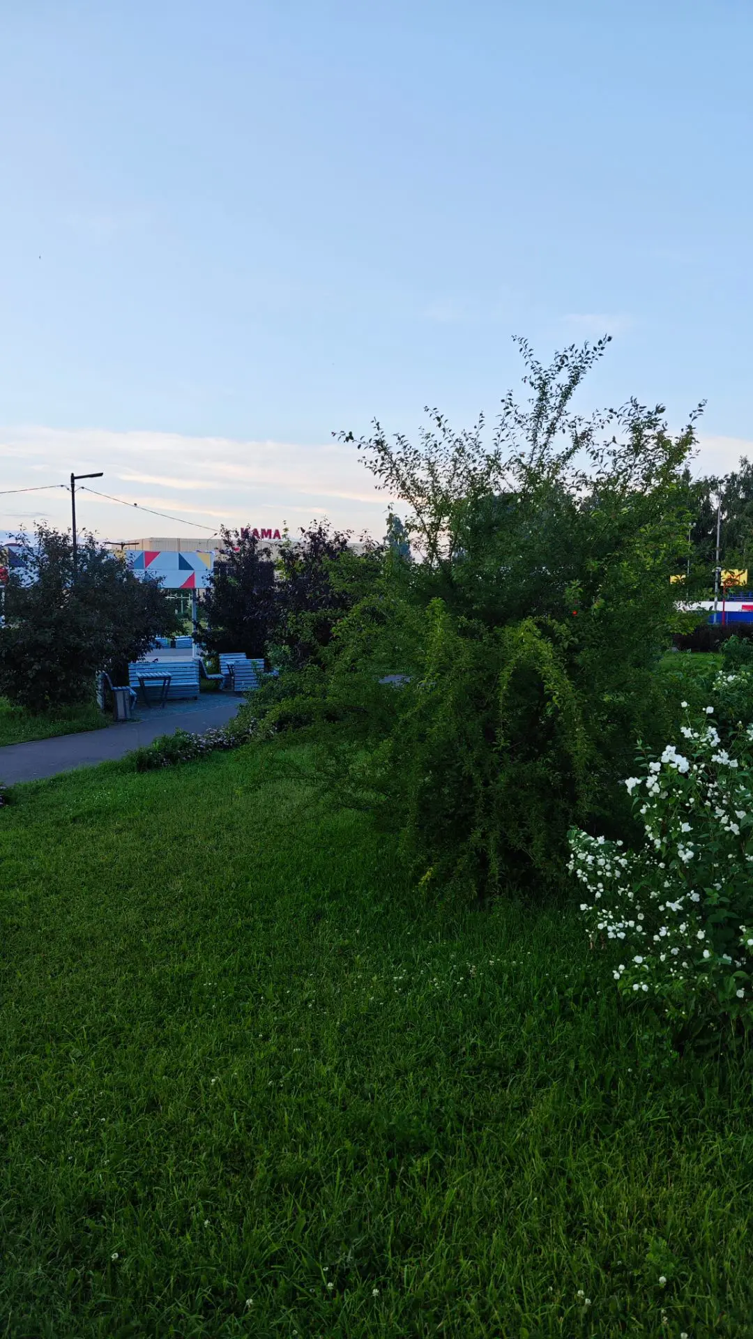 ⛅ Доброе утро, Чистополь! Хәерле иртә, Чистай! 
 
🌡Сегодня в Чистополе облачно, днём до +22 градусо