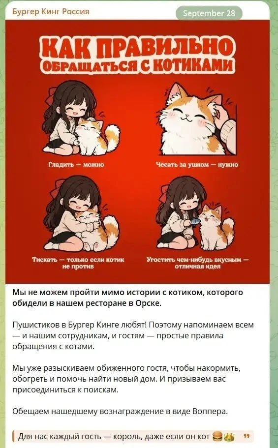 Burger King ищет кота после инцидента в ресторане Орска