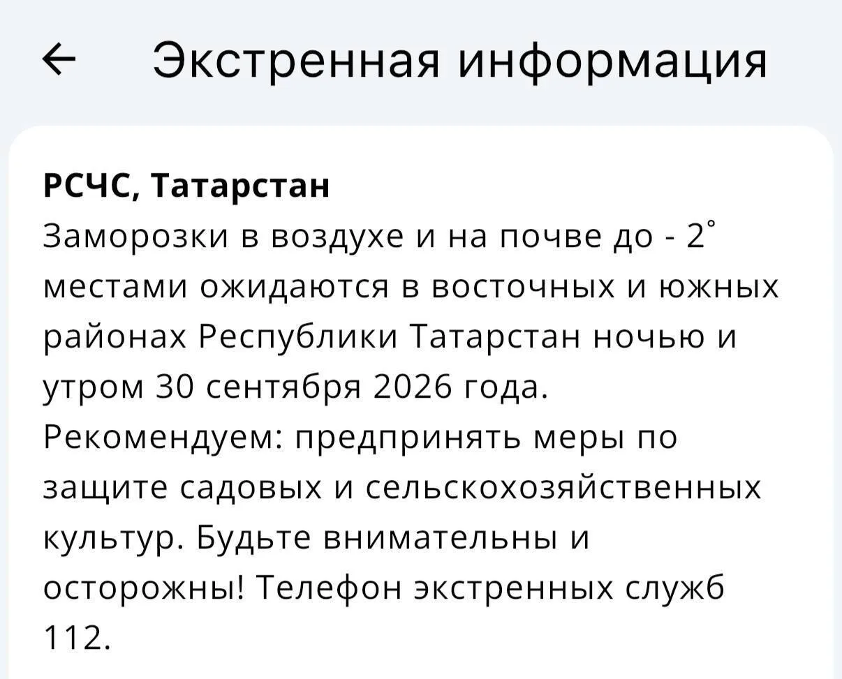 🥶МЧС экстренно предупреждает о заморозках в ближайшую ночь