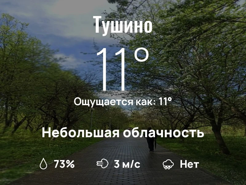 Что с погодой в Тушино?