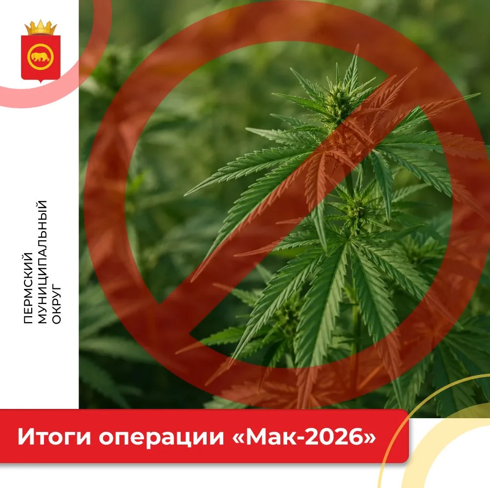 🌿Операция «Мак-2026»: итоги