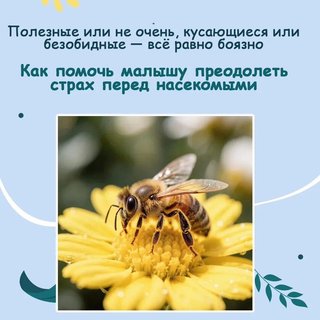 Не успело потеплеть, как окружающий мир наполнился всевозможными насекомыми. 🦟