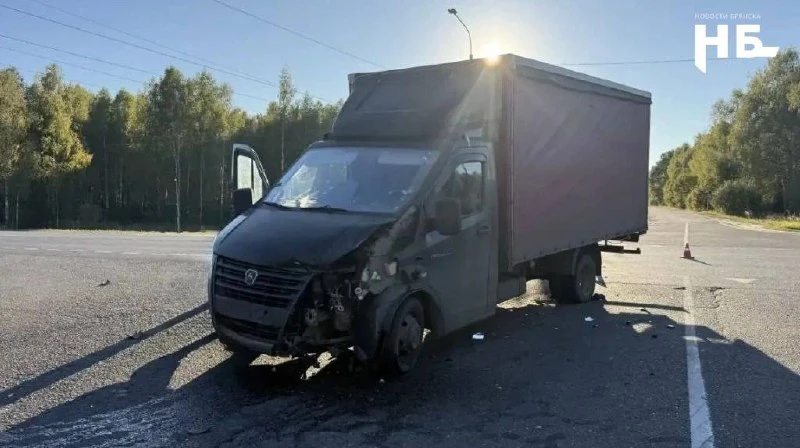 😱 На трассе в Комаричском районе под колесами грузовика погиб мотоциклист