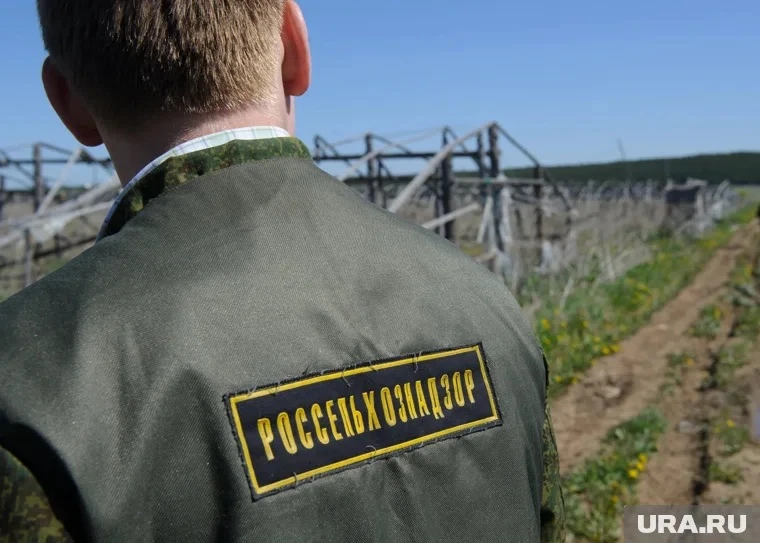 Штаб-квартира Россельхознадзора УрФО расположится в Челябинске.