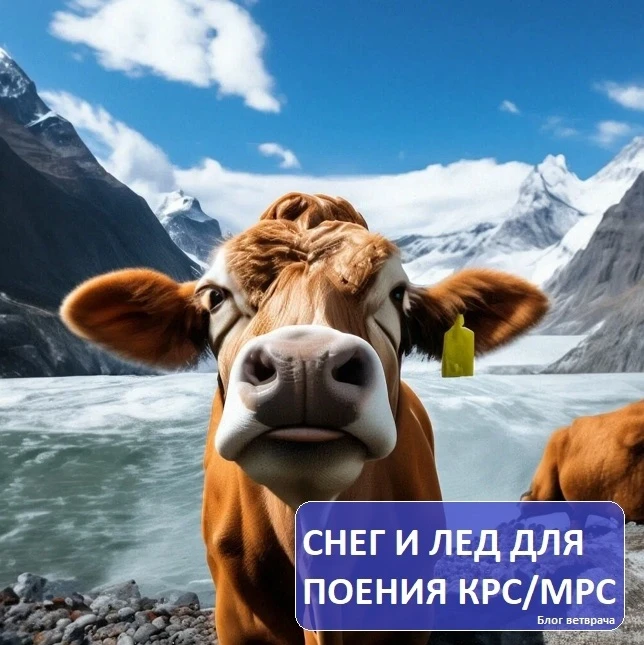 📋❄СНЕГ И ЛЕД ДЛЯ ПОЕНИЯ КРС/МРС