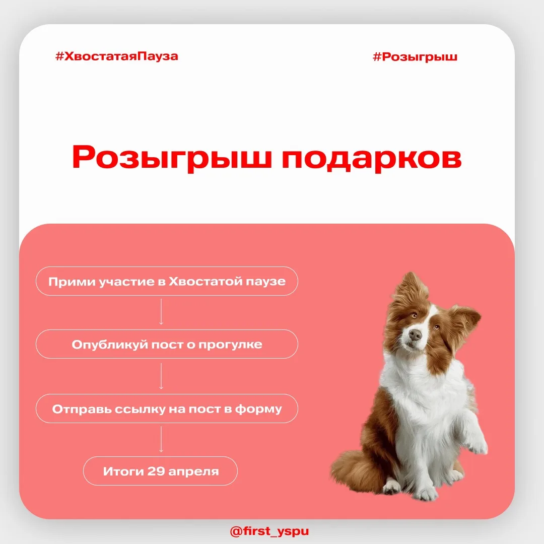 🐾Розыгрыш для участников «Хвостатой паузы» 
 
Наше сердечко разрывается от умиления, когда видим, к