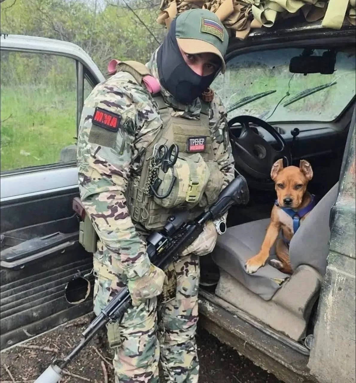 🇷🇺Подобрали, отмыли, накормили.   Теперь наш талисман. Везде со мной катается 🐾  НЕ ЗАБУДЬ ПОДПИСАТЬ