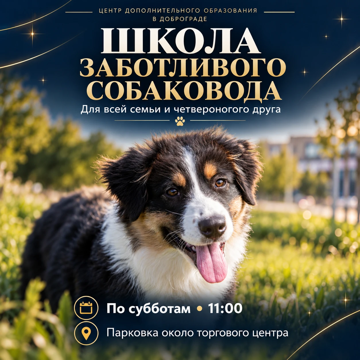 🐾 В Доброграде проходят занятия Школы заботливого собаковода!