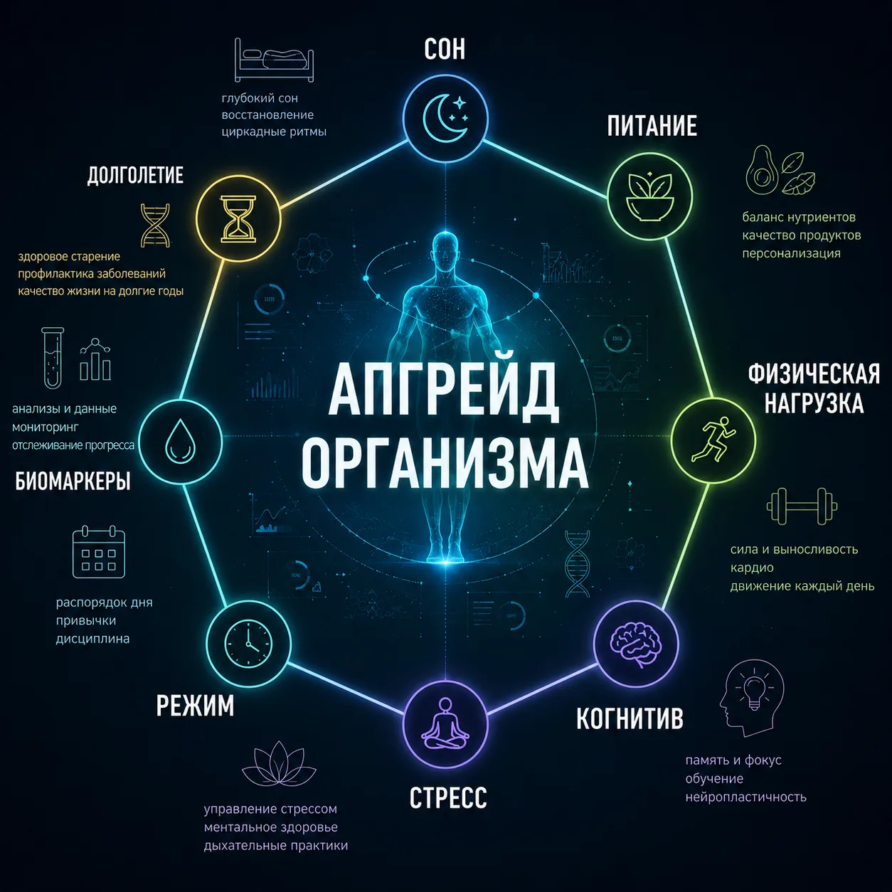 Хочется жить дольше, ярче и без «накопительного эффекта» от усталости? 🌿