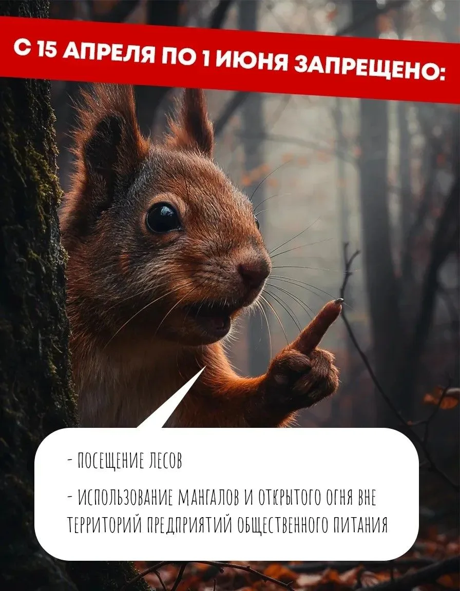 Сезон повышенной пожарной опасности в Кузбассе.  После таяния снега сухая трава и листва быстро высы
