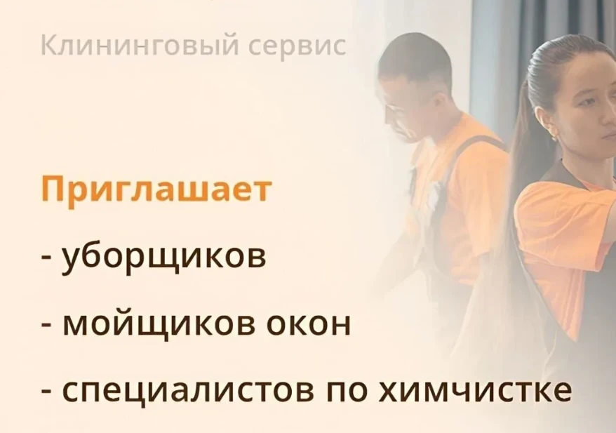 Мойщик окон в Домовенок