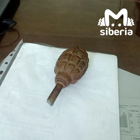 😨 Второклассник устроил переполох, принеся гранату на урок

В школе села Покровка Новосибирской обл