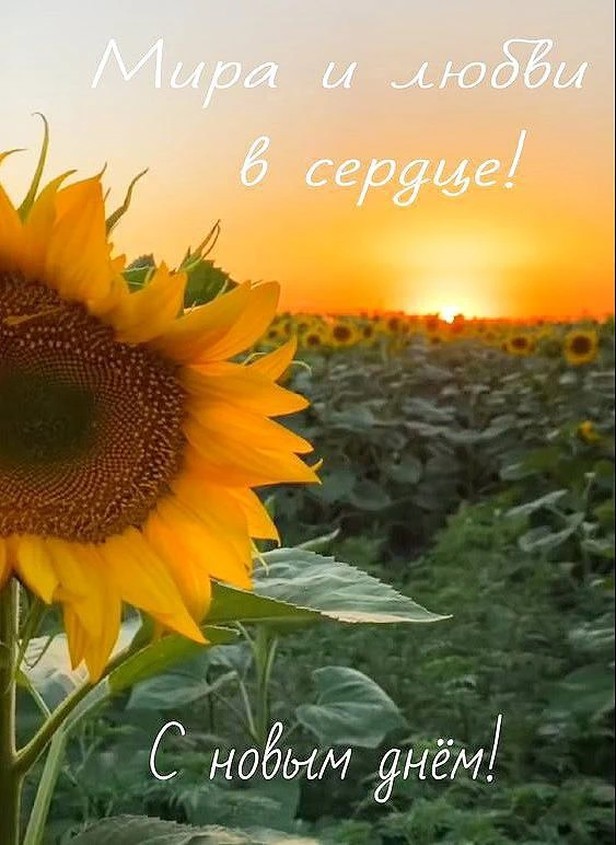 Православные открытки