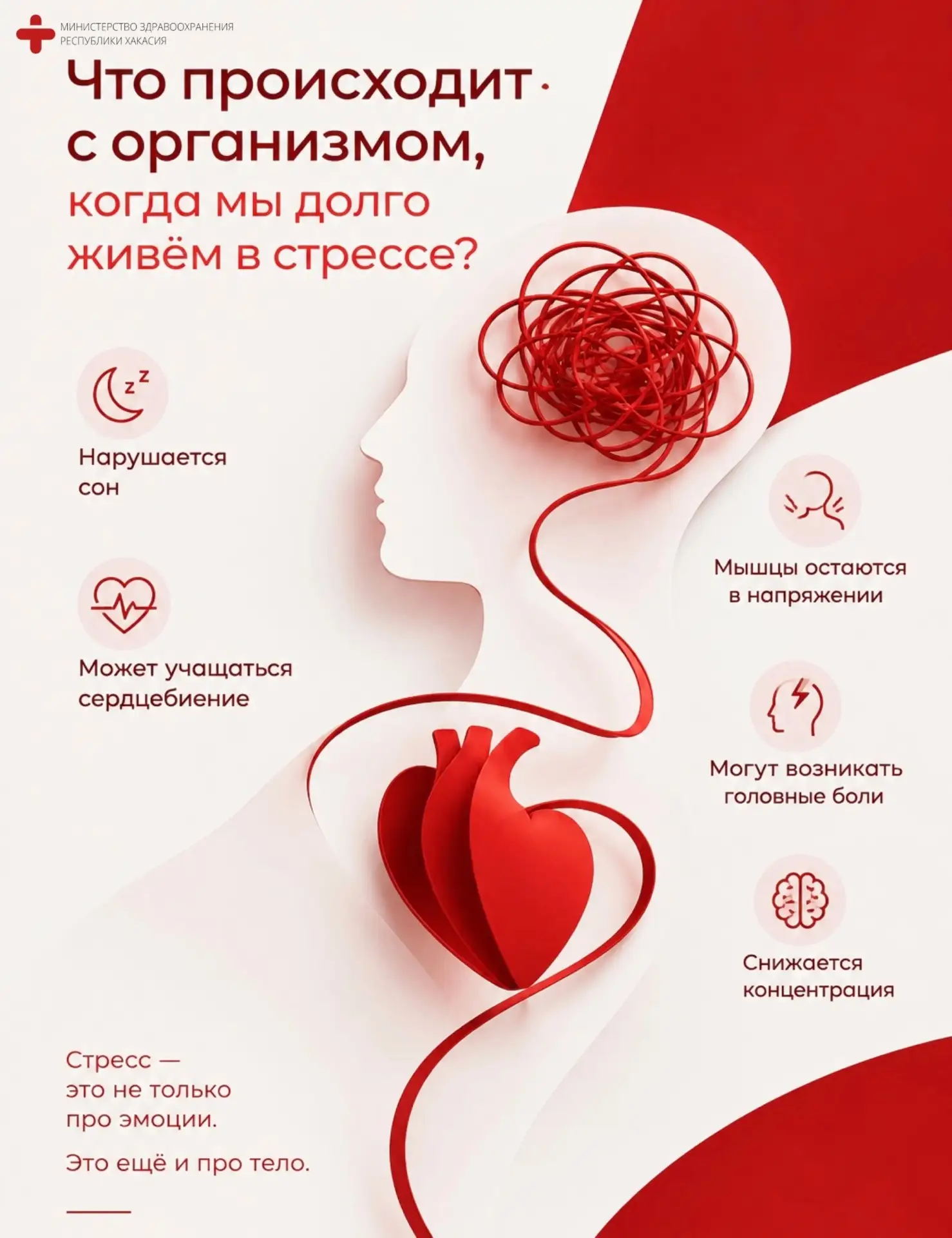 🤔Что происходит с организмом, когда мы долго живём в стрессе?