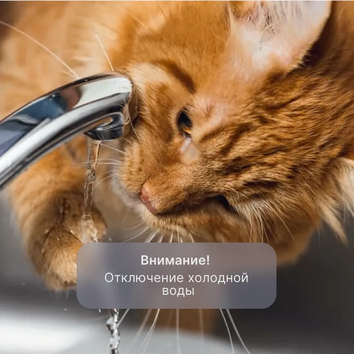 Отключение холодной воды 9 июля