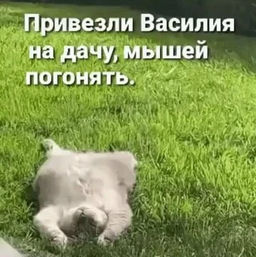 Главное - соблюдать баланс