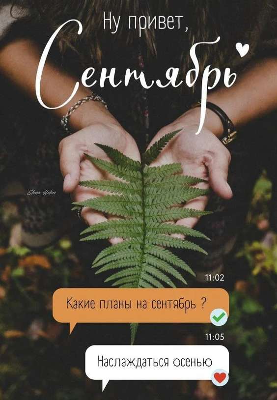 🍂 Сентябрь — время новых планов