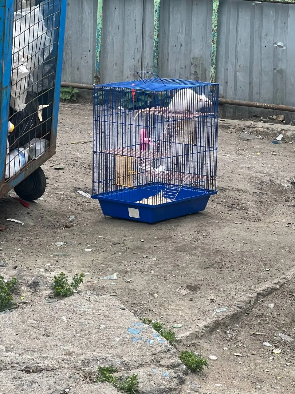 Из почты Ворчуна