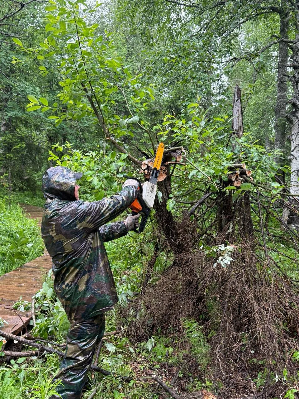 В Каменном городе прибрались после урагана.