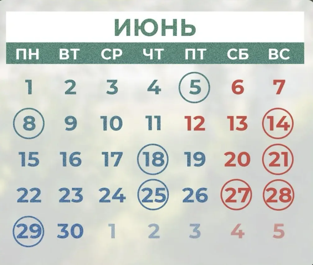 Уже на следующей неделе – лето 🤩 Июнь радует нас дополнительным выходным днем, а еще –...