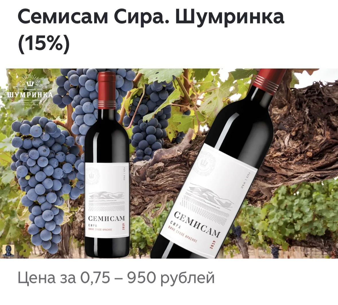 Сухое вино от молодой винодельни «Шумринка», основанной в 2016 году в селе Гай-Кодзор Анапского райо