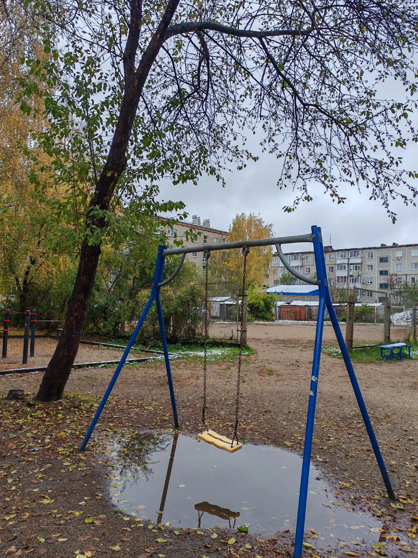 Как оцените такое фото?