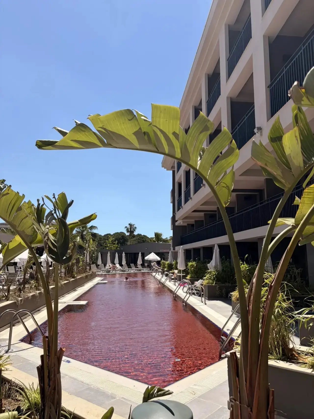 Отличные цены на 😍THE X BELEK 5*