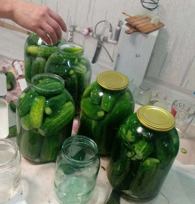 Заготовки на зиму😍
