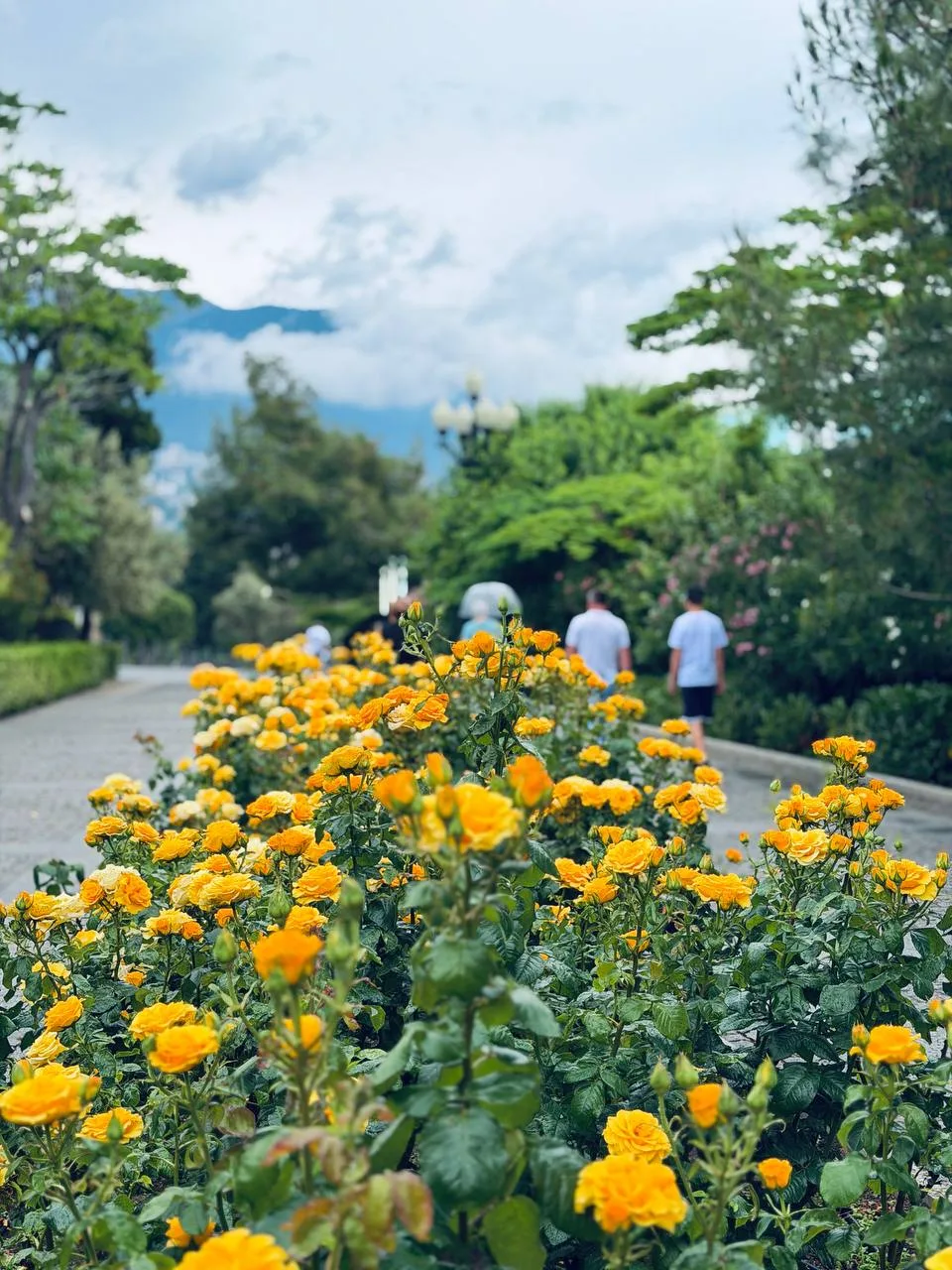 🌼 Атмосфера летней Ялты.