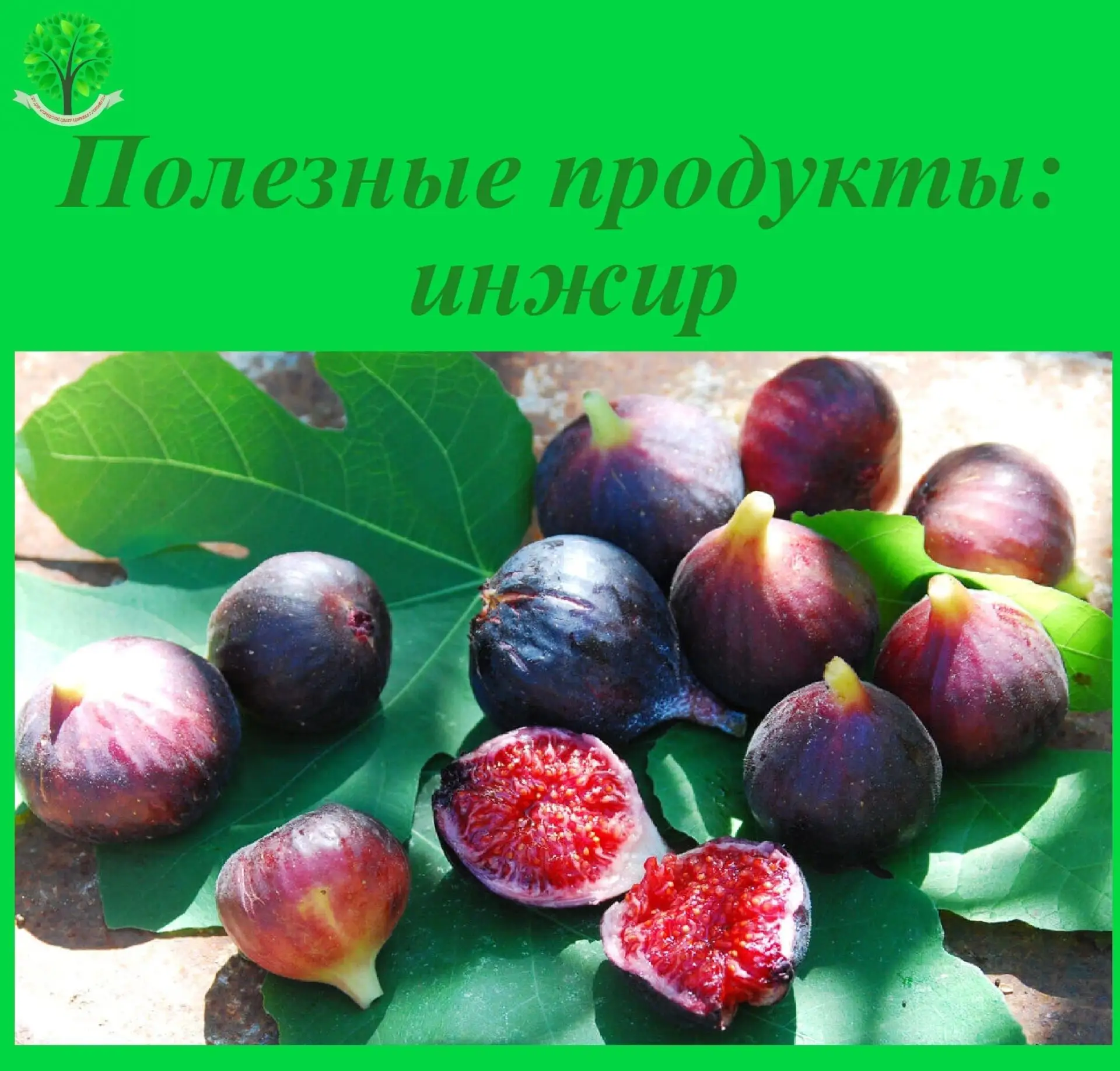 ✅Инжир – субтропический плод, не только необычный и вкусный, но и очень полезный.