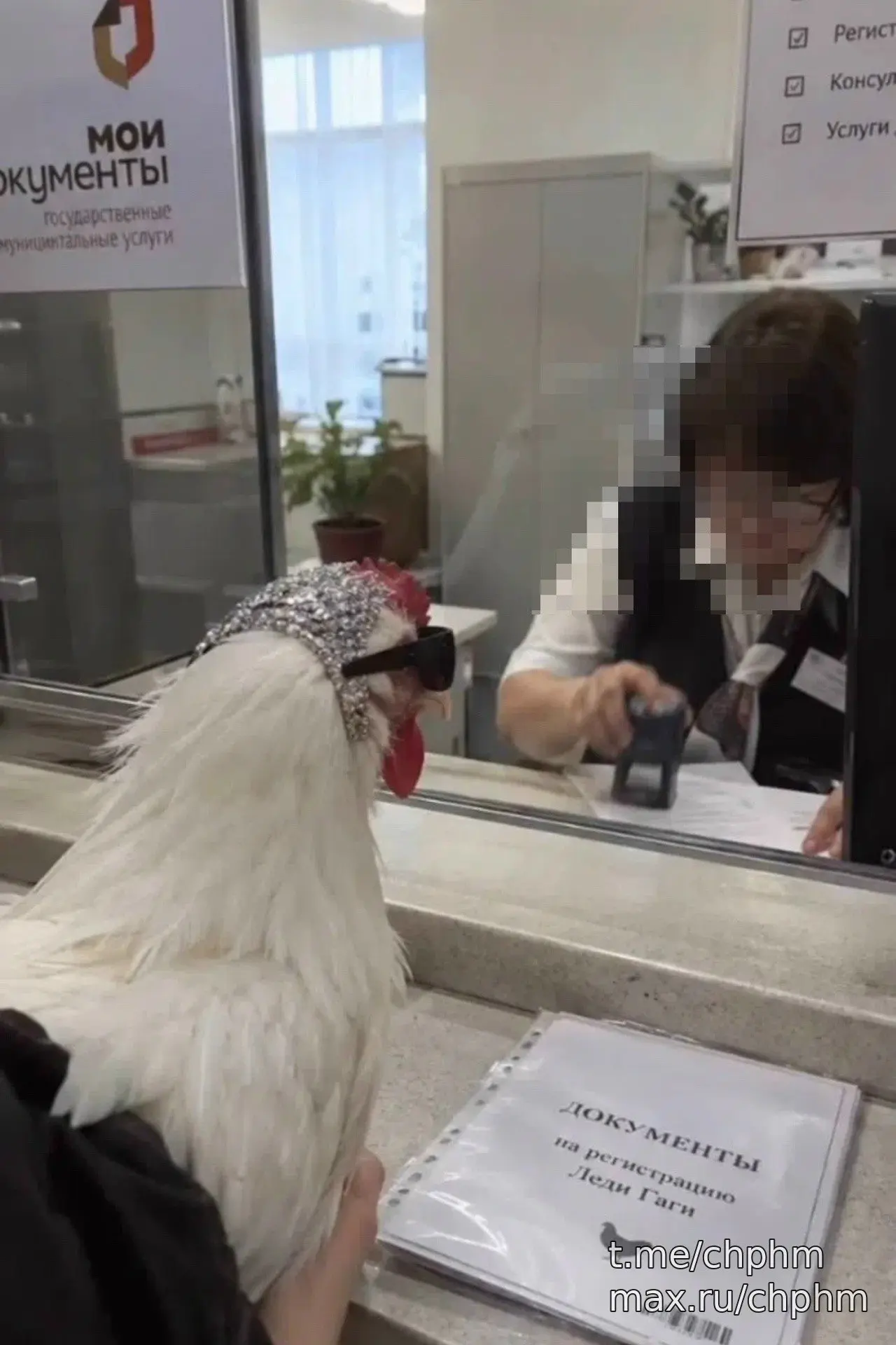 Россельхознадзор: кур в МФЦ носить не нужно 🐔